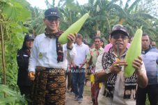 IMG 20241023 WA0009