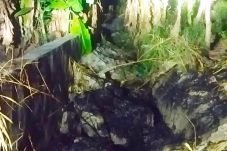 IMG 20241125 WA0053