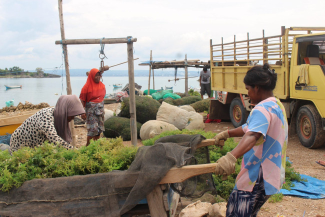 IMG 2333 scaled 1 2048x1366 1