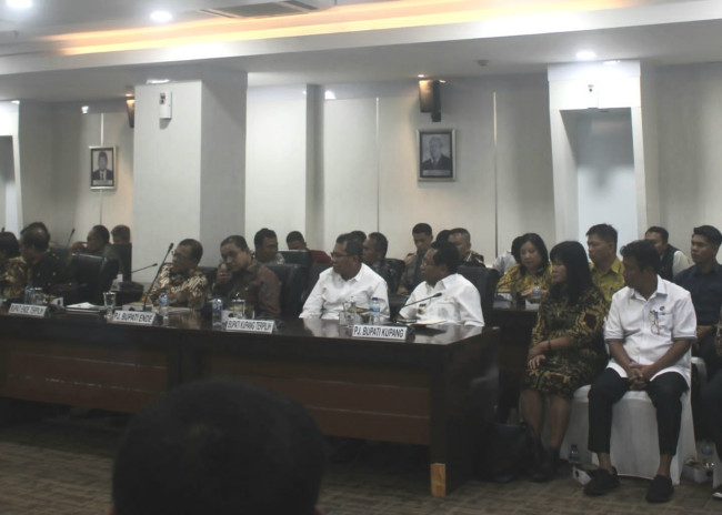 Strategi Jitu Kabupaten Kupang Perkuat Produksi Pertanian Demi Sejahterakan Petani 2 IMG 20250208 WA0003