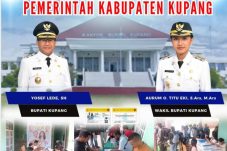 IMG 20250224 WA0048