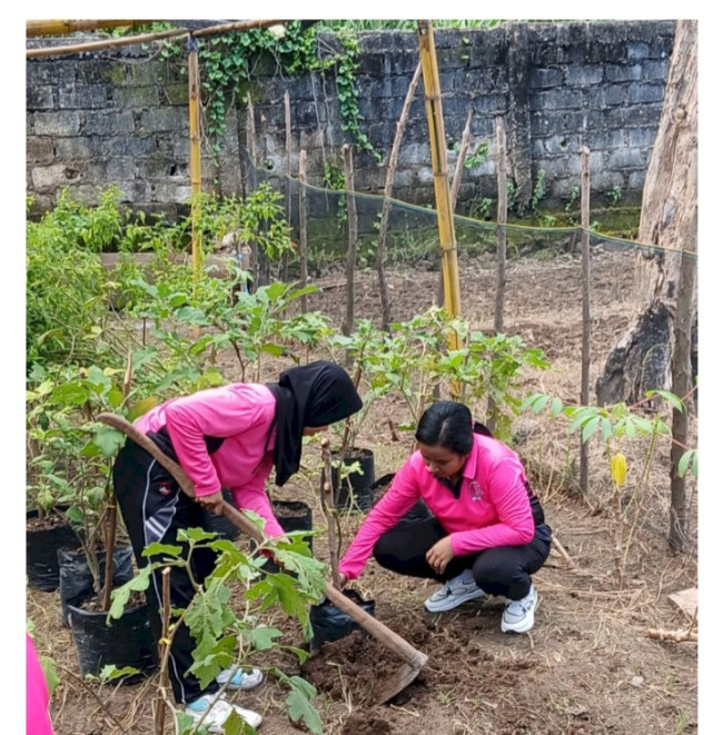 Screenshot 20250302 061620 Chrome