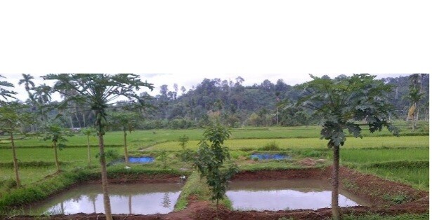 Screenshot 20250713 100351 Chrome