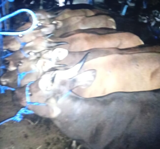 IMG 20250807 WA00151