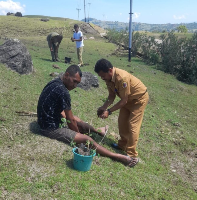 Screenshot 2025 11 04 11 58 21 983 com.miui .gallery edit