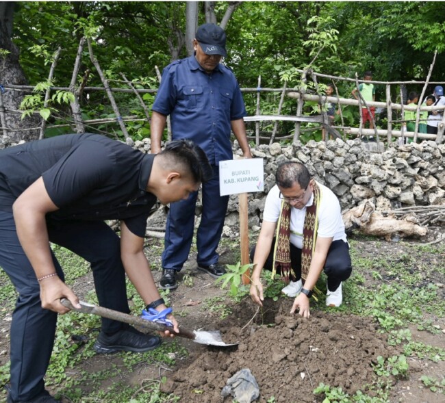 Screenshot 2025 12 01 11 11 29 417 com.miui .gallery edit