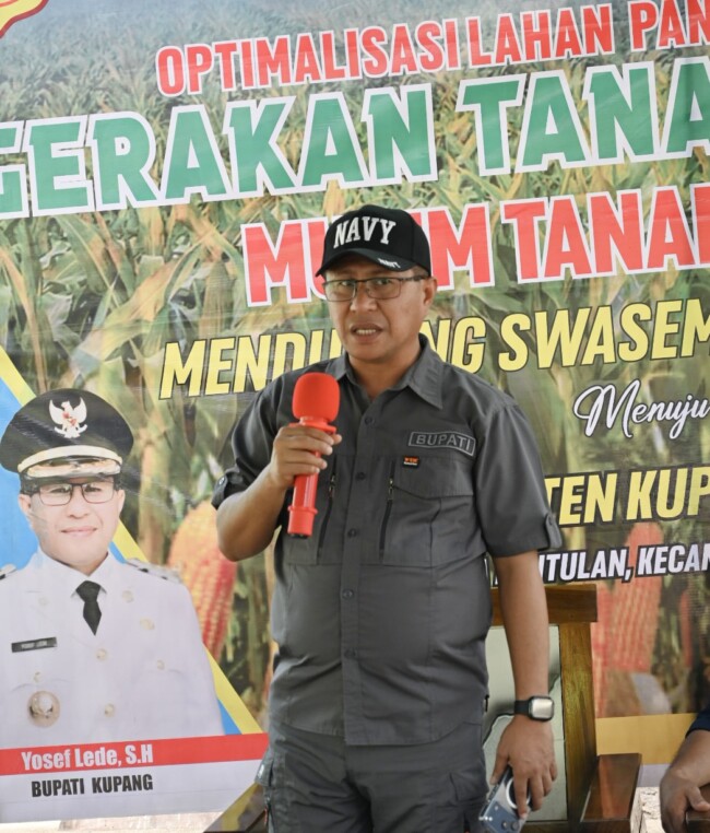 Screenshot 2025 12 17 15 14 02 115 com.whatsapp edit