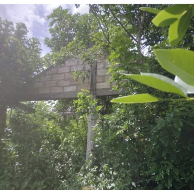 Screenshot 2026 01 19 19 55 37 606 com.whatsapp edit