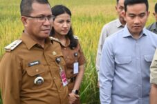 Screenshot 2026 04 06 18 04 54 257 com.miui .gallery edit