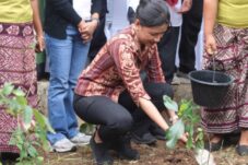 Screenshot 2026 04 24 19 00 37 308 com.miui .gallery edit